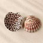 Duo Coquilles Cléo