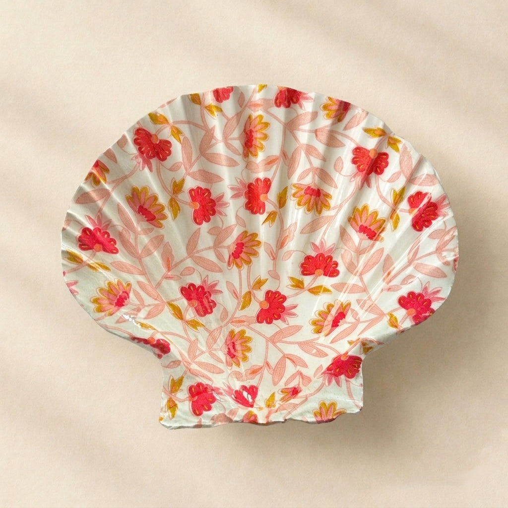 Coquille Diane