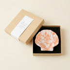 Coquille Hortense