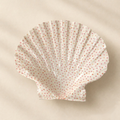 Coquille Liv