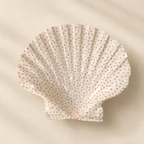 Coquille Liv