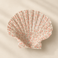 Coquille Luce