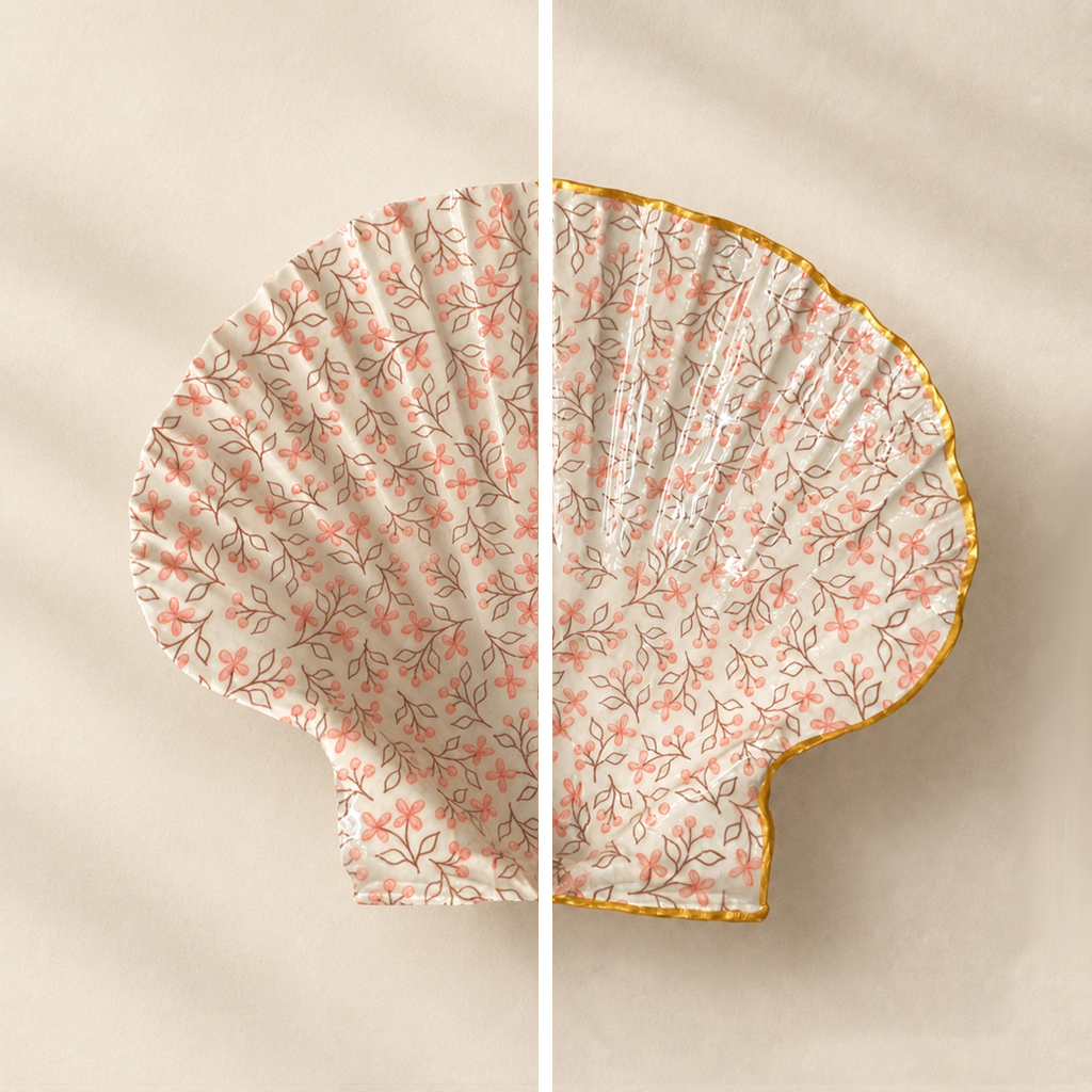 Coquille Luce